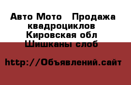 Авто Мото - Продажа квадроциклов. Кировская обл.,Шишканы слоб.